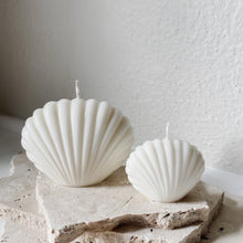 Load image into Gallery viewer, Sea Shell set
