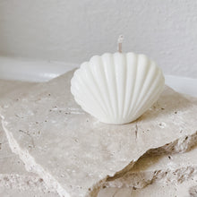 Load image into Gallery viewer, Sea Shell small
