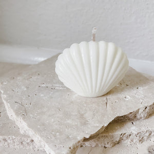 Sea Shell small